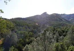 Mt Diablo Donner Canyon April 2008 012 pano