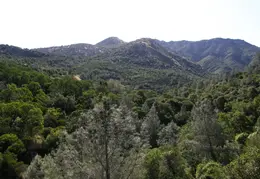 Mt Diablo Donner Canyon April 2008 013