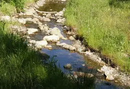 Mt Diablo Donner Canyon April 2008 022