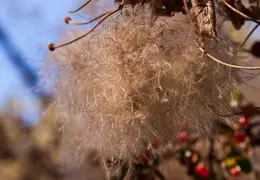 Mt Diablo Eagle Peak 2010 0007