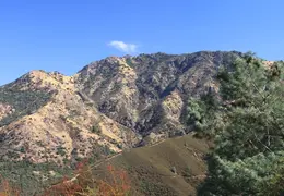 Mt Diablo Eagle Peak 2010 0013