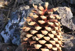 Mt Diablo Eagle Peak 2010 0043