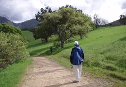 Mt Diablo Flowers 2006 004