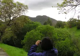 Mt Diablo Flowers 2006 033