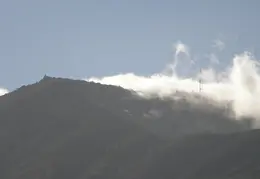 Mt Diablo Jan 2008 002