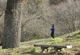 Mt Diablo Jan 2008 004