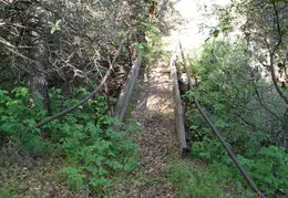 Mt Diablo Young Canyon Walk 2007 030