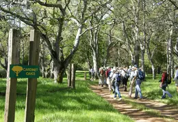 Mt Diablo Young Canyon Walk 2007 031