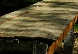 Mt Diablo Young Canyon Walk 2007 041