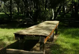 Mt Diablo Young Canyon Walk 2007 042