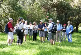 Mt Diablo Young Canyon Walk 2007 045