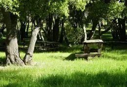 Mt Diablo Young Canyon Walk 2007 046