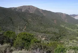Mt Diablo Young Canyon Walk 2007 050