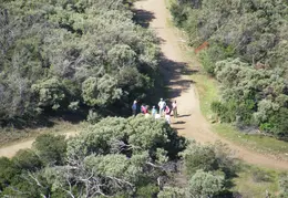 Mt Diablo Young Canyon Walk 2007 051