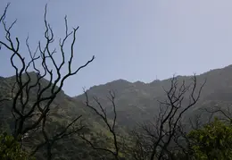 Mt Diablo Young Canyon Walk 2007 059