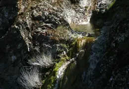 Mt Diablo Young Canyon Walk 2007 075