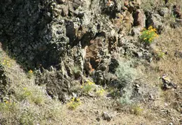 Mt Diablo Young Canyon Walk 2007 080