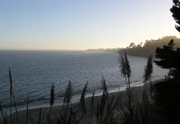 New Brighton Beach SP 2004 004