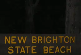 New Brighton Beach SP 2004 022