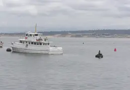 New Brighton Beach 2005 094