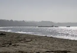 New Brighton Beach SP 2007 019