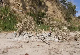 New Brighton Beach SP 2007 032