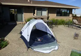 New Brighton Beach SP 2016 003