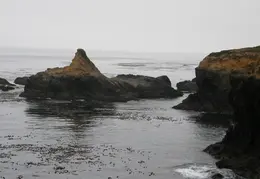 Russian Gulch SP June 2008 015