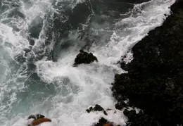 Russian Gulch SP June 2008 034