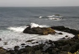 Salt Point SP June 2007 028