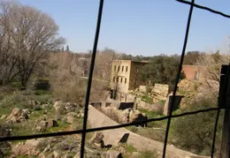 Stanislaus River Parks Feb 2008 14