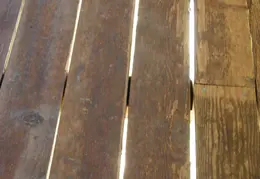 Stanislaus River Parks Feb 2008 16