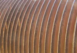 Stanislaus River Parks Feb 2008 34