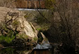 Stanislaus River Parks Feb 2008 36