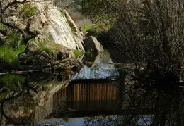 Stanislaus River Parks Feb 2008 37
