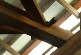 Stanislaus River Parks Feb 2008 43