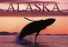 Alaska Cruise 2002 002