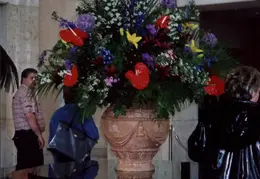 Alaska Cruise 2002 018