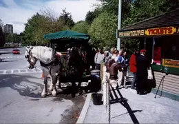 Alaska Cruise 2002 021