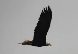 Alaska Cruise 2010 049