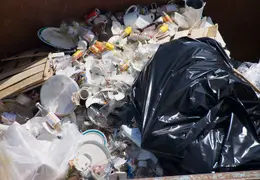 Alaska Cruise May 2012 043