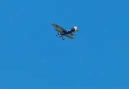 Alaska Cruise 2018 July 0046