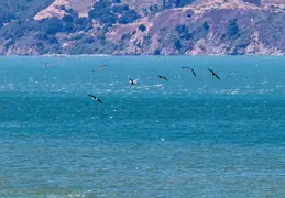 Alaska Cruise 2018 July 0047