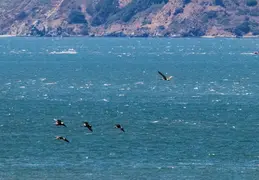 Alaska Cruise 2018 July 0049