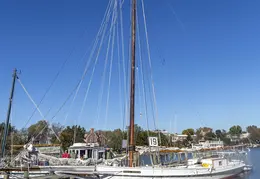 Skipjack Rosie Parks Chestertown MD