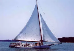Skipjack on a leisure cruise 1