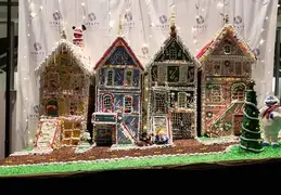 Antarctica Cruise 2018 10