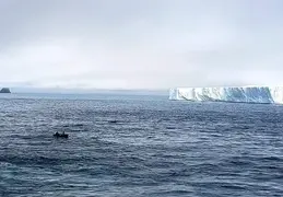 Antarctica Cruise 2018 28