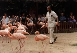 Eastern Caribbean 1988 024