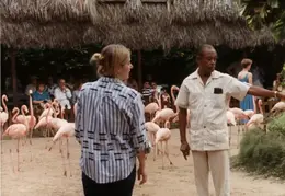 Eastern Caribbean 1988 029